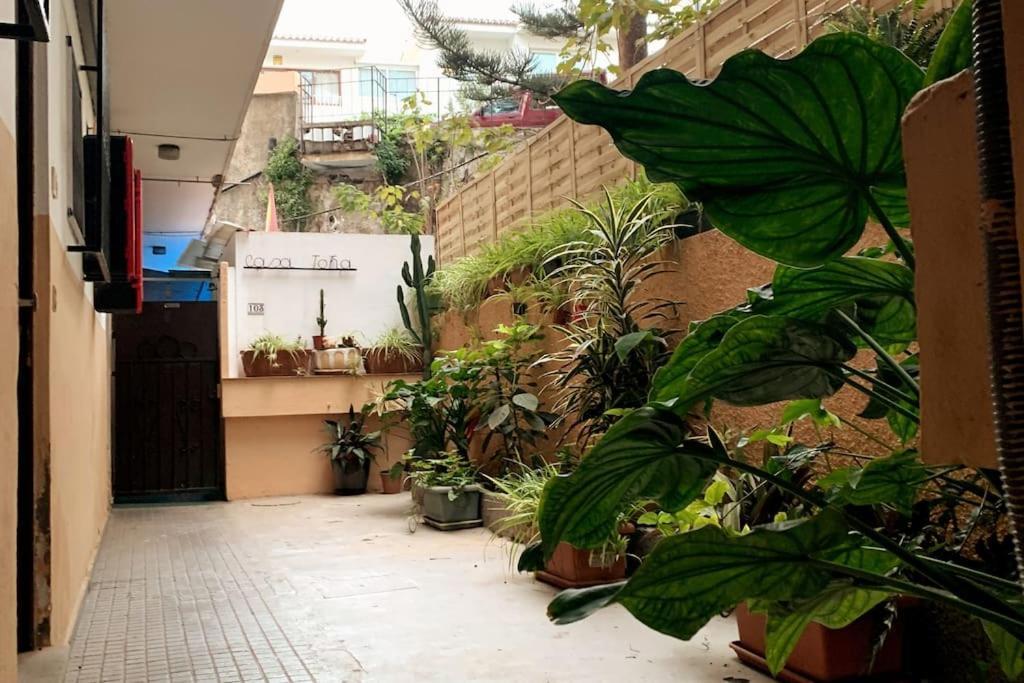 Wohnung Mit Terrasse In Der Naehe Von Parque Taoro 푸에르토 드 라 크루즈 외부 사진